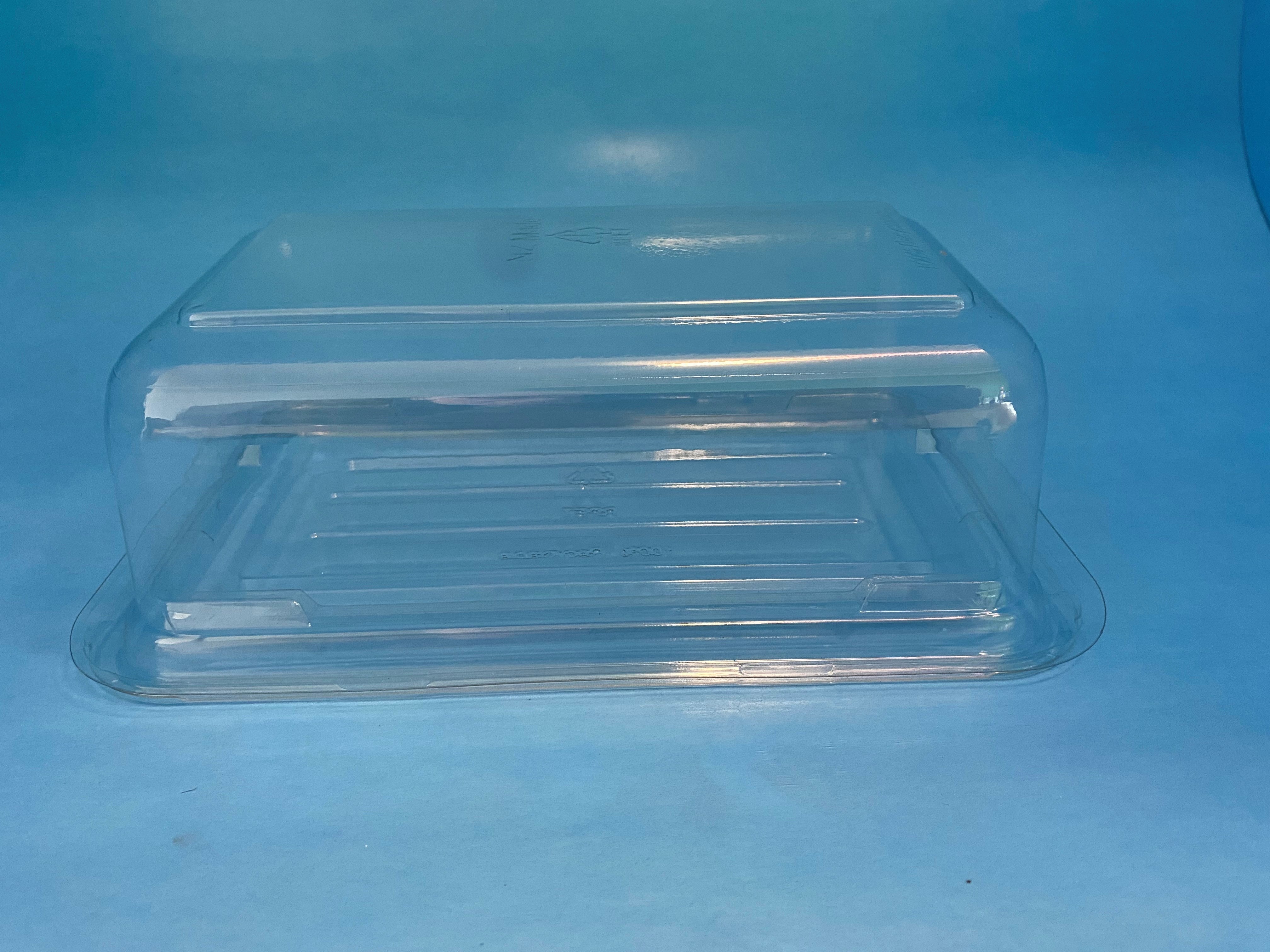 Rectangle cake container Medium LID 73mm high 250/ctn