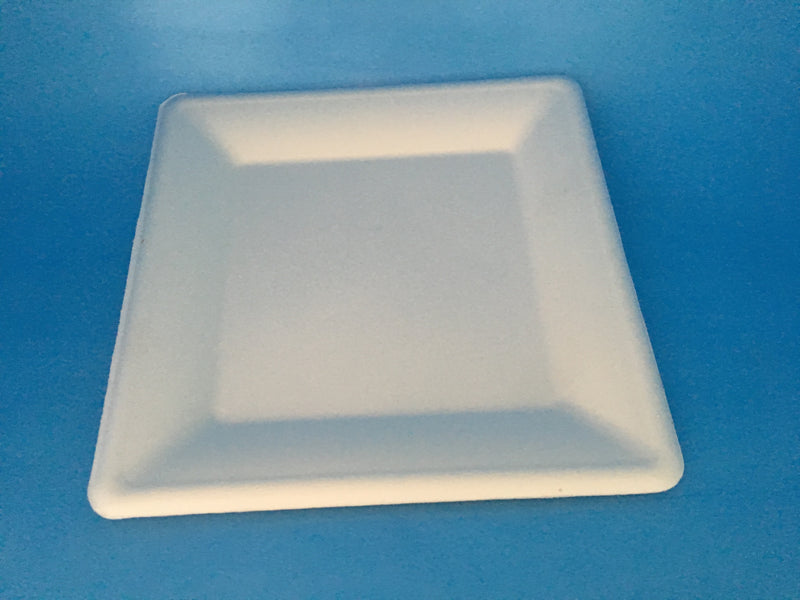 10" Square Sugarcane plate 50/sleeve 500/ctn